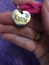 Dog-Collar Engraved Name-Tag Braided Dog Puppy Dogs Small Personalized Free-Bell 