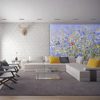 

Wall mural-lawn cornflowers in the color of the sky-250x193 cm