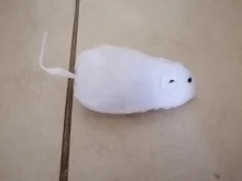 Pet-Accessories Plush-Mouse-Toy Spring-Power Clockwork Rat Cat Creative Mechanical-Motion