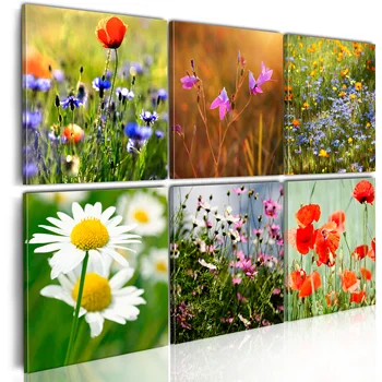 

Table-Prairie multicolorée-60x40