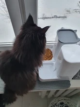 Pet-Bowl Pet-Autommatic Cats Water-Feeder/feeder-Device Small Lovefat for Fmedium