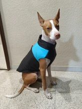Chaleco impermeable para perros grandes y pequeños, abrigo cálido de invierno para cachorros, ropa para mascotas, 4XL, 5XL, nuevo