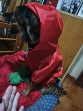 Jacket Rain-Coat Labrador Alaska Puppy-Doberman Waterproof Dogs Large Medium Husky TLC02