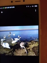 Anillo de compromiso con incrustaciones de zirconia para mujer, sortija de boda de Color oro rosa con diseño hueco para mujer, con diamantes de imitación
