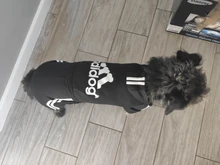 Traje para mascotas pequeñas y medianas, mono para cachorros, ideal para bulldog francés, chihuahua o pug