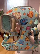 personalized Reflective Dog Cat Harness Vest Pet Adjustable Walking Leash Set for Puppy