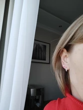 CANNER-Pendientes de plata de ley 925 auténtica para mujer, Mini Pendientes de tuerca de cuatro garras, Diamante de circonita, joyería Coreana de oro