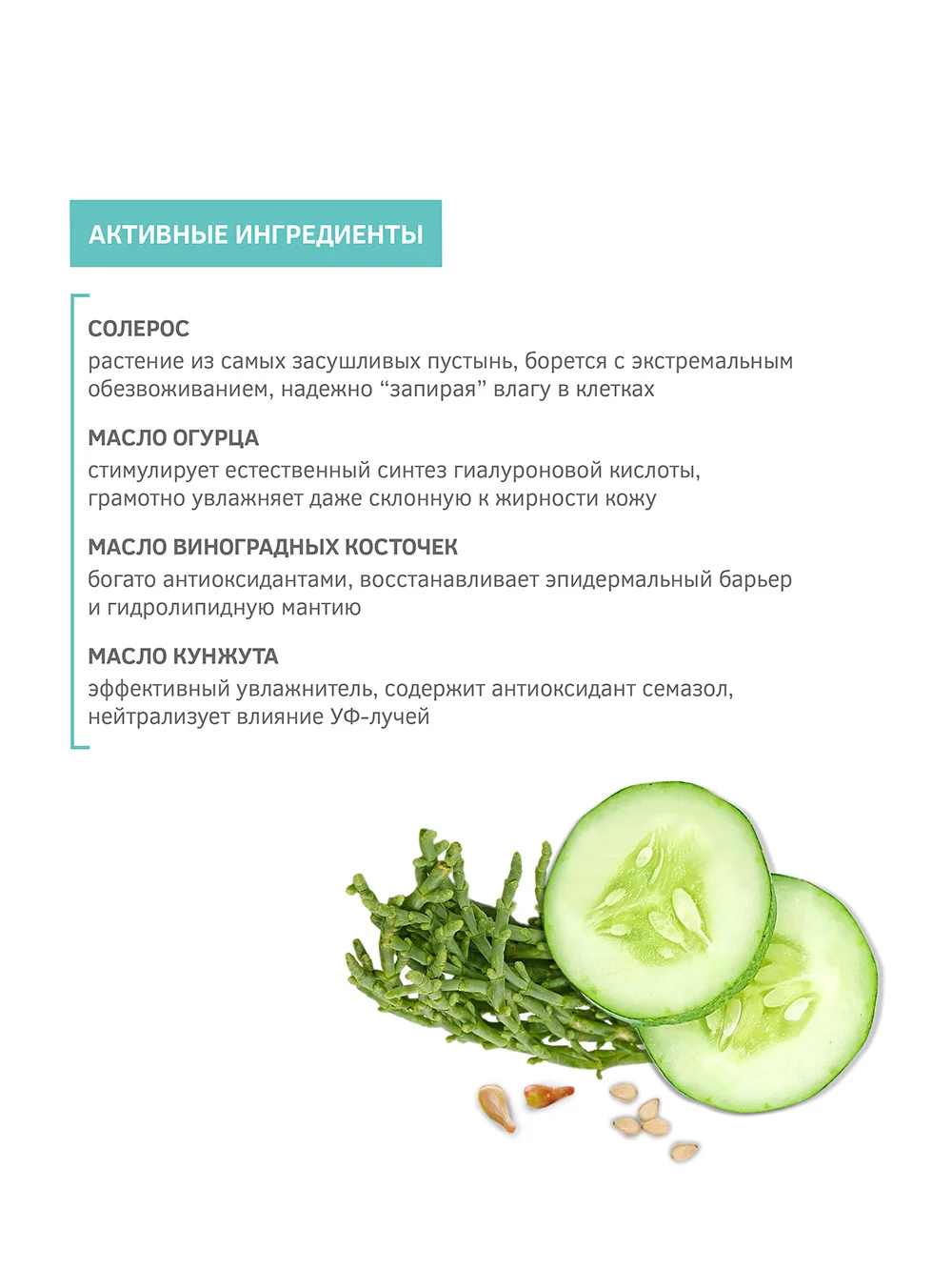 Z6208 Masdar Moisturizing Oil Elixir for normal and dry skin with Salicornia extract 30 ml 5