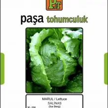 Марул-айсберг 5 гр