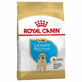 

ROYAL CANIN LABRADOR RETRIEVER JUNIOR 33 dog
