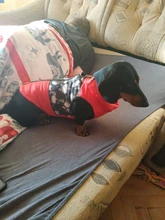 Dog Vest Pet-Supplies Down-Jacket Puppy Chihuahua Winter Windproof Small Warm Apparel