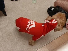 Pet Dog Clothes Fashion Hoodie Spring and Summer For Dogs Coat Jacket Cotton Ropa Perro