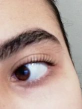 Iconsign-Kit elevador de pestañas, conjunto permanente de pestañas, puede hacer su Logo, Calia Beauty, envío rápido