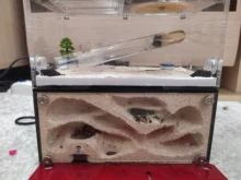 Ant-Nest Ant House Farm Acrylic Ant Pet-Workshop Anthill with Intelligent Temperature-Control-Concrete