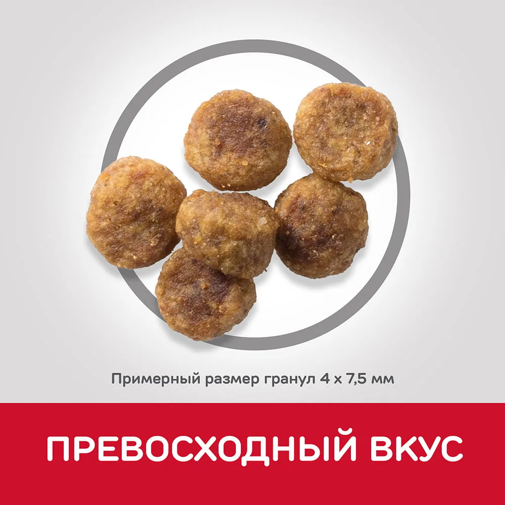 Hill's Science Plan Small& Miniature сухой корм для собак мелких и миниатюрных пород ягненок с рисом 300 г