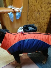 Coat Pet-Dog-Jacket Dogs French Bulldog Waterproof Chihuahua Winter Puppy-Vest Small