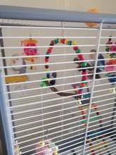 Loro mascota de madera Natural, columpio colorido, juguete de aves, Pinzón, periquito, cacatúa, pájaro amoroso, periquito, loro, jaula, Juguetes