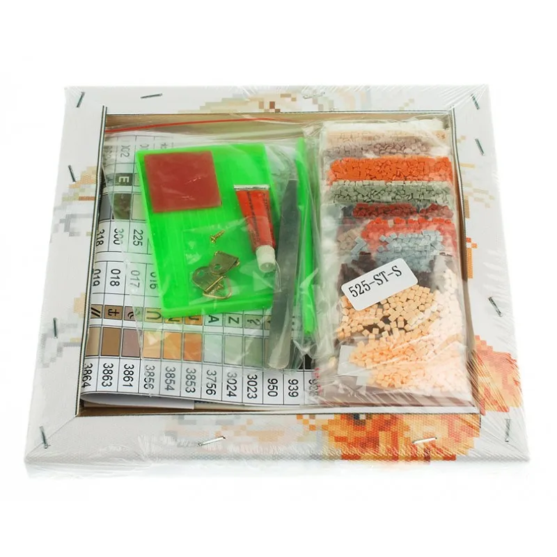 525-st-s_back_808-800x800