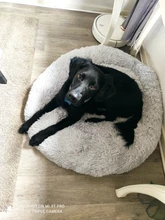 Fluffy Pet Dog Bed Soft Round Dog Long Plush Kennel For Dogs Washable Puppy Cat Bed Cushion