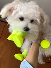 Zapatos antideslizantes para mascota de perro de lluvia, botas de goma impermeables para chihuahua, calzado para exteriores, calcetines para perro