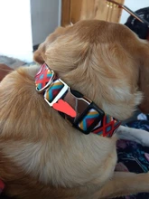 Collar de identificación de perro personalizado, nailon, placa de etiqueta grabado gratis para perros pequeños, medianos y grandes, Pitbull