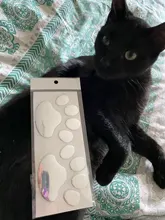 Decal Car-Sticker Footprint Animal Silver Black Bear Golden Cool-Design Cat Paw Dog 3D