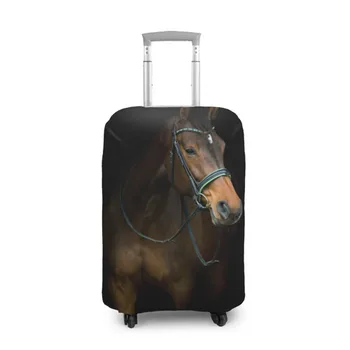 

Case for a suitcase 3D thoroughbred stallion