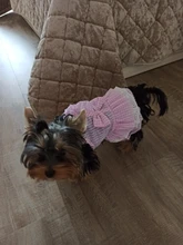 Dress Pet-Clothing Puppy-Cat-Dresses Chihuahua Princess Yorkshire Dogs Small Medium 