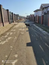 Arnés de nailon sin tirones para perro, arneses de perro mascota ajustables, chaleco para perros medianos y grandes, Pitbull Bulldog, Pastor Alemán, S-XL, negro