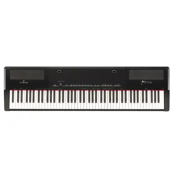 

DIGITAL PIANO 88 keys counterbalanced-HAMMER ACTION-ivory touch