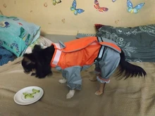 Jumpsuit Raincoat Pet-Cloak Teddy Waterproof-Jacket HOOPET Dogs Chihuahua for Small Cat