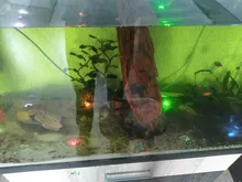 Led-Lights Vase-Decor Bathtub Submersible Pond-Pool Aquarium Hot-Tub Party Waterproof Rgb