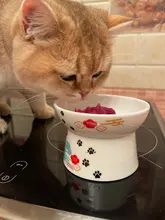 Container Pet-Bowl Pet-Feeder Pets Ceramic Dog Drinking-Feeding Cat Cute Cartoon 1PC