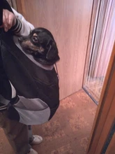 Backpack Carrier Mesh Travel-Dog-Pet Foldable Outdoor Double-Shoulder Nylon Cat Pet-Front-Bag