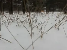 Bell Doorbell-Door SMATRUL No-Battery Self-Powered 2-Button Waterproof Smart-Home-1 Wireless