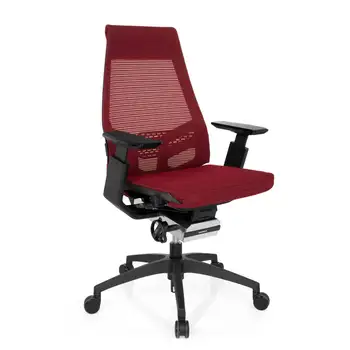 

Ofichairs | Silla Genious Smart | Silla de Oficina Ergonómica | Silla de Oficina Alta Gama | Respaldo Transpirable | Soporte