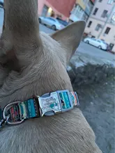 Collar personalizado impreso para mascotas, Collar de nailon para perro, personalizado, grabado gratis, Collar de nombre de cachorro, para perros pequeños, medianos, grandes, Pug