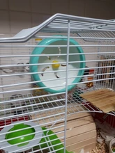 Creativo rueda para hámster silencio rotativo correr rueda de ejercicio Animal PEQUEÑO ejercicio suministros de plástico de PP de accesorios para mascotas