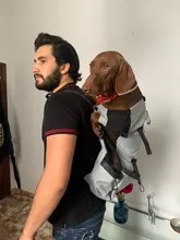 Carrier Bag Travel-Bags Pets-Products Retriever-Bulldog-Backpack Dogs Adjustable Large