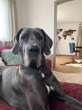 Towel-Hooks Robe Paper-Holder Bathroom-Accessories-Kit Toilet Brushed Gold Stainless-Steel