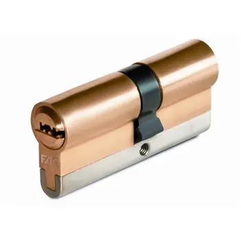 

SECURITY CYLINDER 30X40MM RK LAT CAM LG FAC