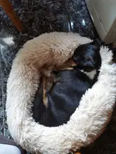 Dog-Bed House Labradors Cushion Pet-Product Cat-Mat Round Plush Accessoriesdog Large