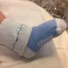 A***l