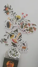 46 unids/caja Retro serie de bosques planta de decoración pegatinas planificador Scrapbooking papelería coreana pegatinas diario
