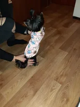 Cute Print Small Dog Hoodie Coat Winter Warm Pet Clothes for Chihuahua Shih Tzu Sweatshirt