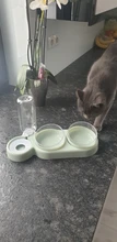 Cuenco para gato mascota doble cuencos de comida alimentador de agua con Auto dispensador de agua perro gato comida beber planteado soporte plato tres cuencos