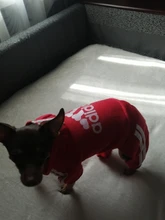 Pet Dog Clothes Fashion Hoodie Spring and Summer For Dogs Coat Jacket Cotton Ropa Perro