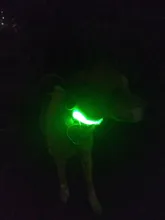 Collar con luces LED para perro, collar de luz recargable por USB, ideal para usar de noche al aire libre, accesorio de seguridad para mascota