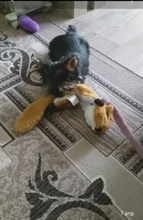 Puppy Honking Squirrel for Dogs Cat Chew Squeaker Squeaky Toy Dog Toys Stuffed Chew Squeaking