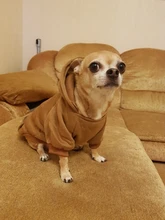 Pet-Dog-Clothes Coat Hoodies Clothing Puppy-Outfit Warm Small Dogs Chihuahua for 45